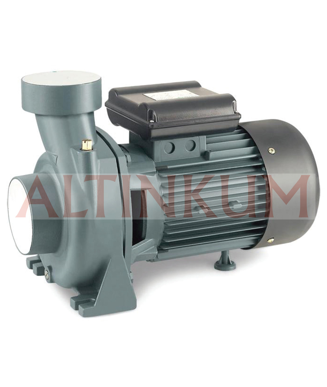 Rainpump SHFM5AM Santrifuj Pompa 22 Metre 2 Hp Yüksek Debili Monofaze